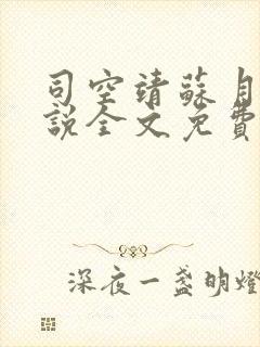 司空靖苏月汐小说全文免费阅读