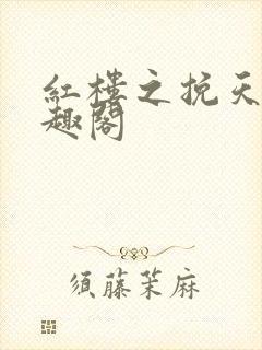 红楼之挽天倾笔趣阁