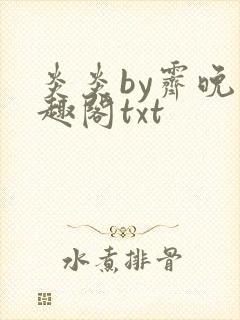 炎炎by霁晚笔趣阁txt