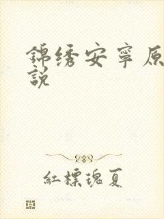 锦绣安宁原著小说