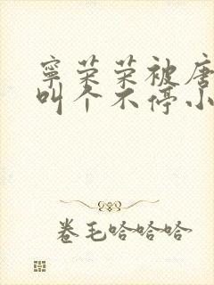 宁荣荣被唐三桶叫个不停小说