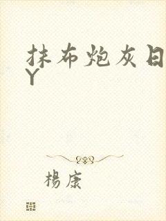 抹布炮灰日记BY