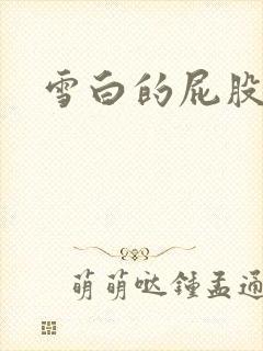 雪白的屁股小说