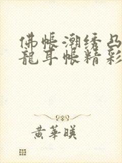 佛帐潮绣凸浮双龙耳帐精彩片段