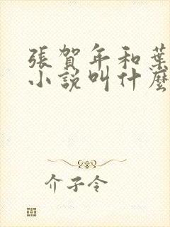 张贺年和叶繁姿小说叫什么名字