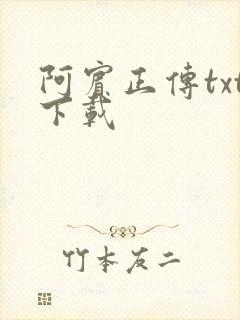 阿宾正传txt下载