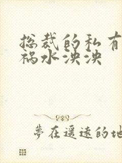 总裁的私有宝贝祸水泱泱