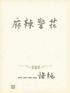 麻辣警花