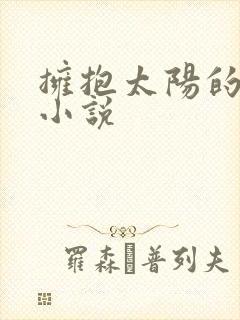 拥抱太阳的月亮小说