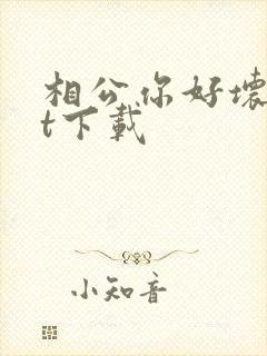 相公你好坏txt下载