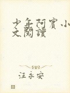 少年阿宾小说全文阅读