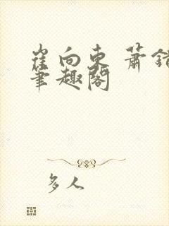 崔向东 萧错 笔趣阁