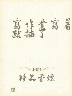 写作业写着写着就插了