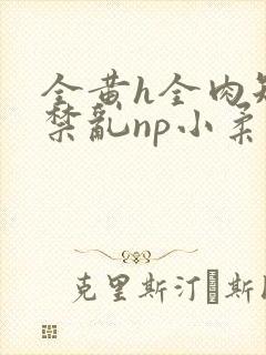 全黄h全肉短篇禁乱np小柔