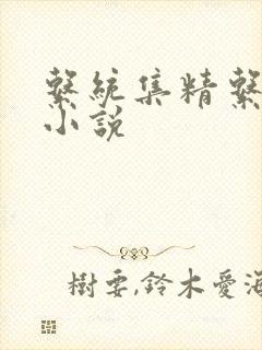 系统集精系统 小说