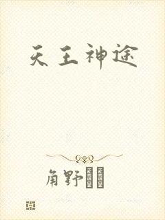 天王神途