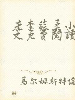 老李苏柔小说全文免费阅读