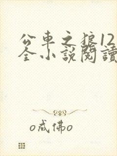 公车之狼12集全小说阅读
