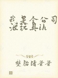 我是全公司的发泄玩具ih