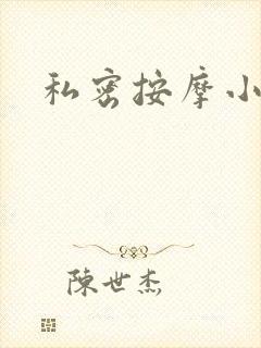 私密按摩小说
