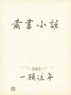 黄书小说