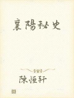 襄阳秘史