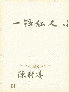 一号红人 小说