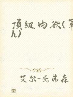 顶级肉欲(军高h)