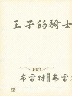 王子的骑士