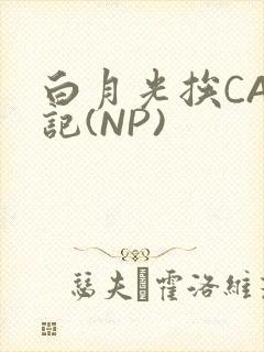 白月光挨CAO记(NP)