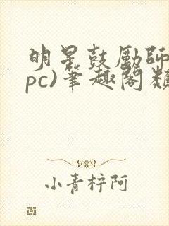 明星鼓励师(npc)笔趣阁类似