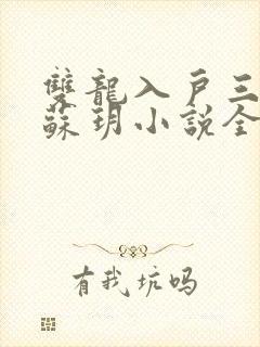 双龙入户三人行苏玥小说全文阅读