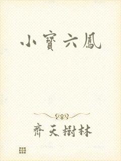 小宝六凤