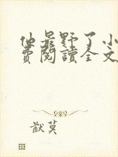 他最野了小说免费阅读全文