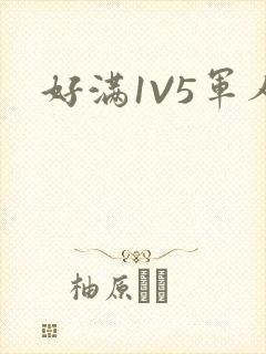 好满1V5军人