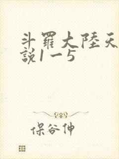 斗罗大陆天狂传说1一5
