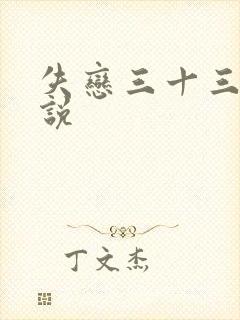 失恋三十三天小说