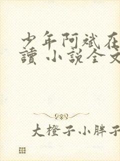 少年阿斌在线阅读 小说全文免费