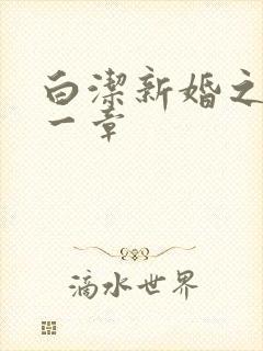 白洁新婚之夜第一章