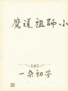 魔道祖师小说