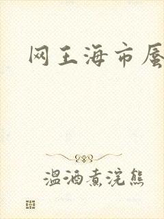 网王海市蜃楼