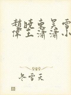 赵晓东吴雪晴郑伟王潇潇小说名字