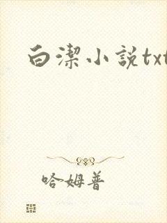 白洁小说txt