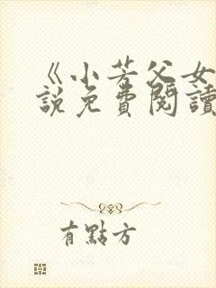 《小芳父女》小说免费阅读