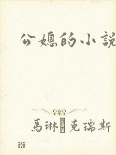 公媳的小说