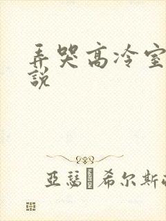 弄哭高冷室友小说