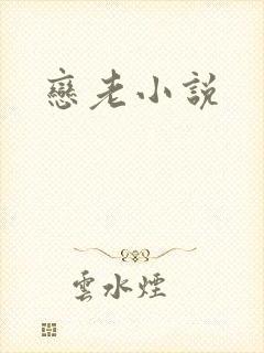 恋老小说