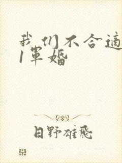 我们不合适1v1军婚
