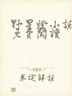 野星灯小说全文免费阅读