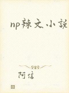 np辣文小说